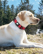 Joytale Airtag Dog Collar, Reflective Pet Collar - Image 8