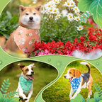Weewooday 50 Pcs Spring Dog Bandanas Bulk - Image 2