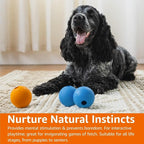 Amazon Basics Interactive Bouncy Durable Rubber Dog Toy Balls, 2.5 inch - Image 7