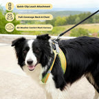 ROYPET Step-in Air Dog Harness, All Weather Mesh Step in Vest Harness - Image 3