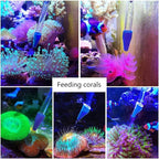 Coral Reef Grabber, Coral Feeder, Aquarium Veggie Feeder, Fish Tank Food Clip - Image 3