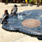 TIANCENTRAL H Bird Bath Copper Disk 2PCS-99.99% Pure Copper Cleaning Disk - Image 6