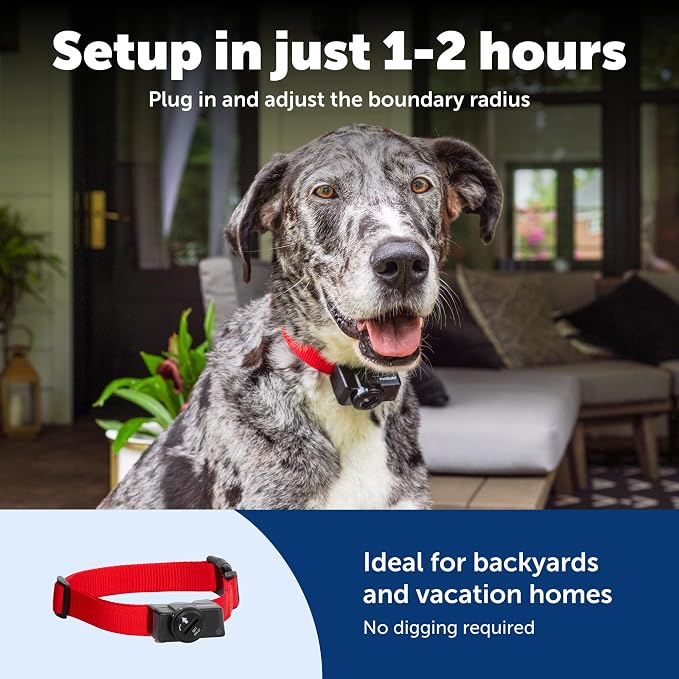 PetSafe 2-Dog Wireless Pet Containment System - Image 6