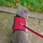 PUPTECK Soft Mesh Cat Vest Harness and Leash Set Puppy Padded Pet Harnesses - Image 6