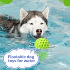 Interactive Squeaky Dog Balls, Dog Toys - Image 8