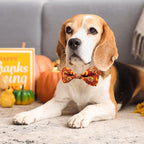 Thanksgiving Dog Collar with Bow Tie Set, Holiday Turkey Pattern Pet Collar - Image 3