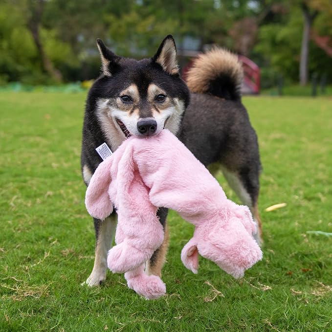 Best Pet Supplies Squeaky Dog Toys - Image 7
