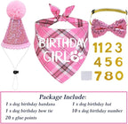 STMK Dog Birthday Outfits - Image 3