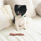 SPOT Bam-Bones Plus Branch -Bamboo Fiber & Nylon, Durable Long Lasting Dog Chew - Image 10