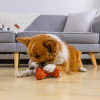 Outward Hound Dogwood Hold & Chew Durable Dog Chew Toy, Beef Scent - Image 7