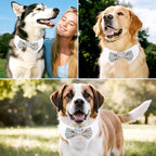 Segarty Dog Bow Tie Neck Girth 16.5-21.2in, Adjustable Blue Khaki Plaid Bowtie - Image 3