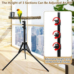 kathson 28-60inches Height Adjustable Bird Perch, Pepperwood Parrot Perch Stand - Image 4
