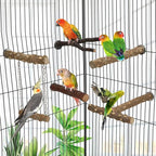 Hypeety Natural Wood Bird Perch - Image 7