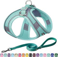 AIITLE Easy Walk Dog Harness and Leash Set by AIITLE-FORPETSBETTERLIFE
