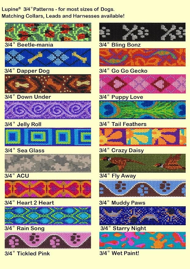 LupinePet Originals 3/4" Sea Glass 13-22" Adjustable Collar - Image 2