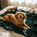 gogobunny Waterproof Bed Blanket, Reversible Sherpa Fleece Throw Blanket - Image 4
