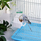 IBWell 2 Pack Bird Water Bowl Clear Bird Food Container Bird Cage Feeder No - Image 5