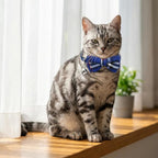 THAIN Cat Collar Breakaway - Image 5