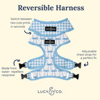 Lucy & Co. Cute Reversible Dog Harness Walking Halter - Image 5