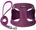 Dog Harness with Leash Set, No Pull Adjustable Reflective Step-in Puppy Pet by BOOMIBOO