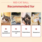 JAYU PET Red Cat Ball - Image 5