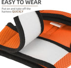 PUPTECK Soft Mesh Cat Vest Harness and Leash Set Puppy Padded Pet Harnesses - Image 5