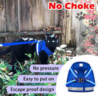 Cat Harnesses and Puppy Harness - Image 3