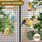 Bird Perches, Bird Perch Chewing Stick Cage Accessories Parrot Climbing - Image 4