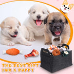 Abbylike 50 Pcs Puppy Supplies Starter Kit - Image 7