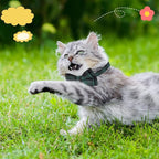 DragonflyDreams 6 PCS Cat Collars - Image 7