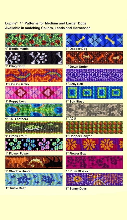 LupinePet Originals 1" Jelly Roll 25-31" Adjustable Collar - Image 2