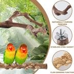 6-Piece Bird Perch Set - Image 3