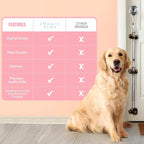 Dog Puppy Training Bell Potty and Outdoor Training Doorbell - Image 5