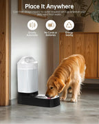 Automatic Dog Water Bowl Dispenser - Image 5