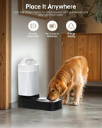 Automatic Dog Water Bowl Dispenser - Image 5