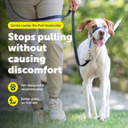 PetSafe Gentle Leader Headcollar No-Pull Dog Collar - Image 2