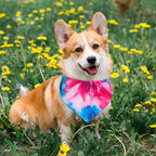 Sanwuta 120 Pcs Rainbow Tie Dye Dog Bandanas - Image 6