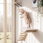 Cat Climbing Stair Shelf, Wall Mounted Ladder 2PCS 4 Steps Reversible Left & - Image 4