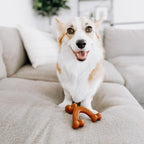 Nylabone Ergonomic Hold Wishbone Power Chew Toy - Image 2