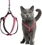 Filbert Cat Harness and Leash Set by Filbert