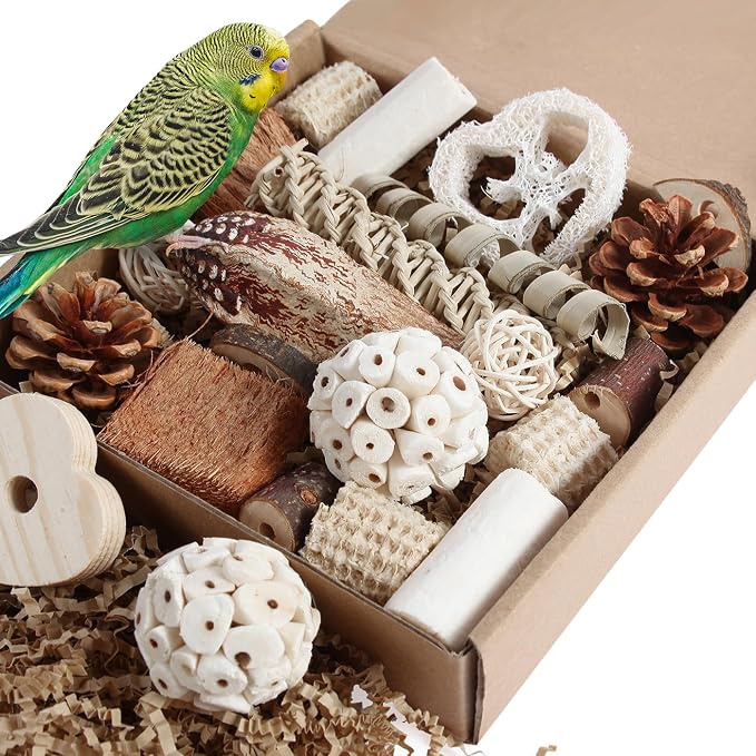 Kyouki Bird Toys Parrot Toys Natural Bird Foraging Box Foot by Unknown