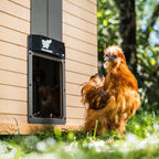 RUN-CHICKEN Door T50 – Automatic Chicken Coop Door Opener, Battery Powered & - Image 3