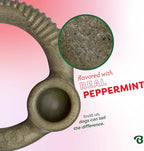 Benebone Peppermint Ring – Limited Edition Holiday Flavor, Durable Chew Toy - Image 3