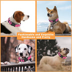 2 Pack Reflective Dog Collar - Image 5