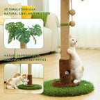 Cat Scratching Post for Indoor Cats and Kitten - Image 5