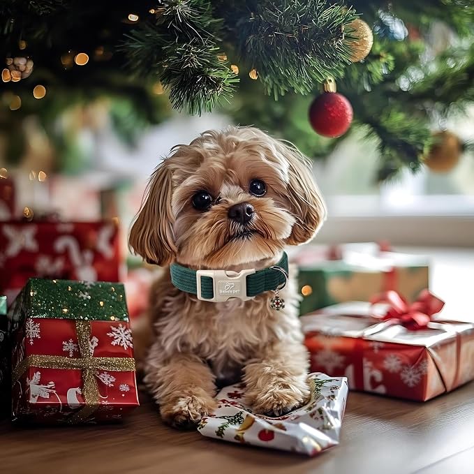Cute Corduroy Dog Collar - Image 5