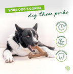 Benebone Peanut Butter Flavored Wishbone Chew Toy - Image 3