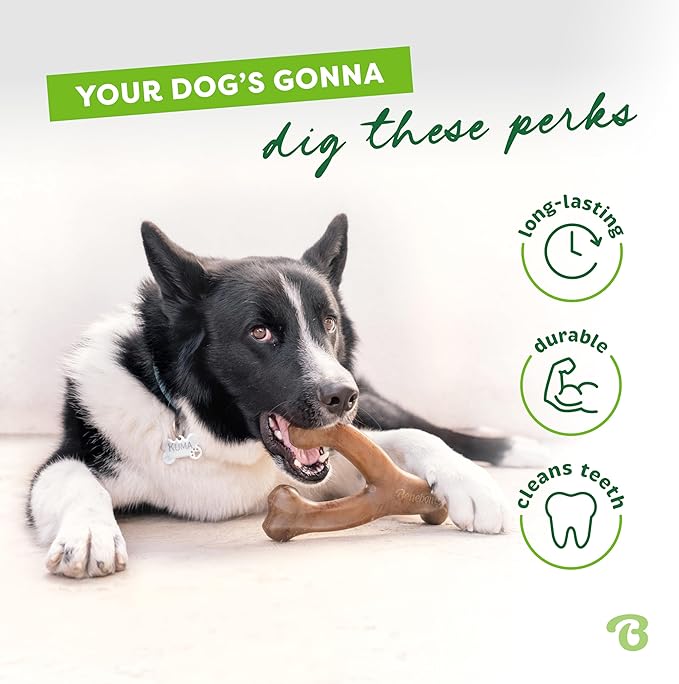 Benebone Peanut Butter Flavored Wishbone Chew Toy - Image 3