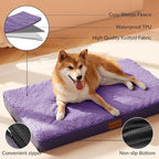 Patas Lague Orthopedic Dog Bed Large Sized Dog 36''X24'', Soft Waterproof Egg - Image 3