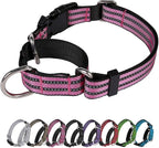 Martingale Dog Collar, Adjustable Nylon Reflective Collar by JOYEEIIOO